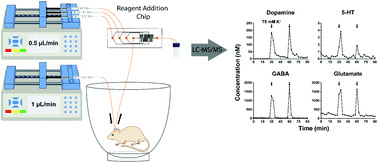 Graphical abstract: A microfluidic chip for on-line derivatization and application to in vivo neurochemical monitoring