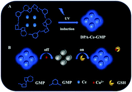 Graphical abstract: A cerium-based fluorescent nanosensor for highly specific detection of glutathione over cysteine and homocysteine