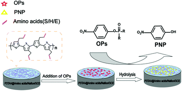 Graphical abstract: Electrochemical detection of organophosphorus pesticides based on amino acids-conjugated P3TAA-modified electrodes