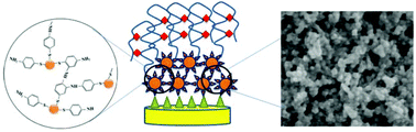 Graphical abstract: The functionalization of gold nanoparticles as a novel platform for the highly efficient electrochemical detection of silver ions