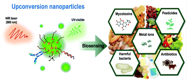 Graphical abstract: Biosensing based on upconversion nanoparticles for food quality and safety applications
