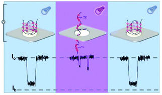 Graphical abstract: Reversible photo-regulation on the folding/unfolding of telomere G-quadruplexes with solid-state nanopores