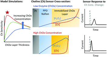 Graphical abstract: Electroenzymatic choline sensing at near the theoretical performance limit