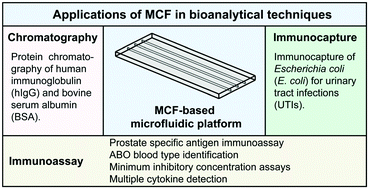 Graphical abstract: Applications of microcapillary films in bioanalytical techniques