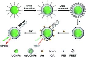 Graphical abstract: Fluorescence sensing of cyanide anions based on Au-modified upconversion nanoassemblies