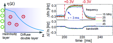 Graphical abstract: Kinetics of viscoelasticity in the electric double layer following steps in the electrode potential studied by a fast electrochemical quartz crystal microbalance (EQCM)