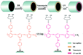 Graphical abstract: Analysis of proteins and chiral drugs based on vancomycin covalent capillary electrophoretic coating