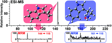 Graphical abstract: Fragmentation study of tryptophan-derived metabolites induced by electrospray ionization mass spectrometry for highly sensitive analysis