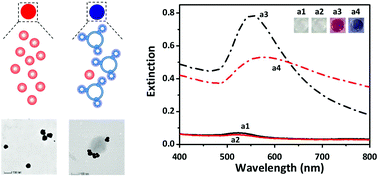 Graphical abstract: Colorimetric analysis of extracellular vesicle surface proteins based on controlled growth of Au aptasensors