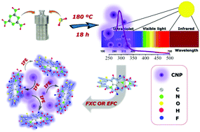 Graphical abstract: Green synthesis of a deep-ultraviolet carbonized nanoprobe for ratiometric fluorescent detection of feroxacin and enrofloxacin in food and serum samples