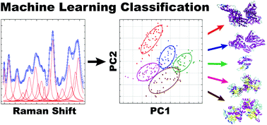 Graphical abstract: Label-free SERS detection of proteins based on machine learning classification of chemo-structural determinants