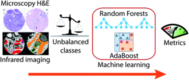 Graphical abstract: Exploring AdaBoost and Random Forests machine learning approaches for infrared pathology on unbalanced data sets