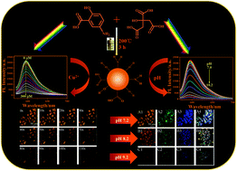 Graphical abstract: Orange emissive carbon nanodots for fluorescent and colorimetric bimodal discrimination of Cu2+ and pH