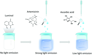 Graphical abstract: Detection of ascorbic acid based on its quenching effect on luminol–artemisinin chemiluminescence