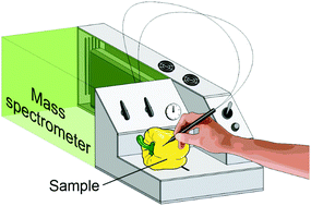 Graphical abstract: Development of a handheld liquid extraction pen for on-site mass spectrometric analysis of daily goods