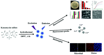 Graphical abstract: Carbon dots derived from kanamycin sulfate with antibacterial activity and selectivity for Cr6+ detection