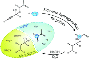 Graphical abstract: Nuclear hyperpolarization of (1-13C)-pyruvate in aqueous solution by proton-relayed side-arm hydrogenation