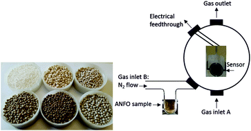 Graphical abstract: ANFO vapour detection with conducting polymer percolation network sensors and GC/MS