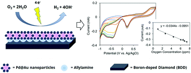 Graphical abstract: Modification of boron-doped diamond electrodes with gold–palladium nanoparticles for an oxygen sensor