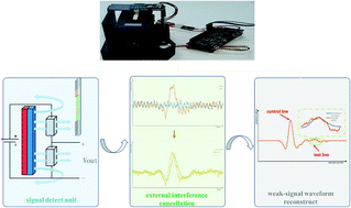 Graphical abstract: A miniaturized giant magnetic resistance system for quantitative detection of methamphetamine