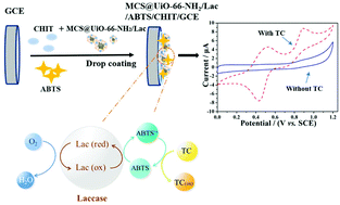 Graphical abstract: Fabrication and application of a novel electrochemical biosensor based on a mesoporous carbon sphere@UiO-66-NH2/Lac complex enzyme for tetracycline detection