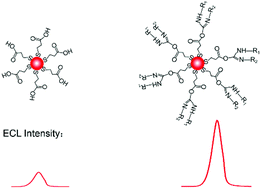 Graphical abstract: Enhanced electrochemiluminescence of CdS quantum dots capped with mercaptopropionic acid activated by EDC for Zika virus detection