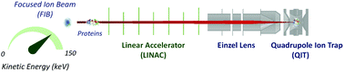 Graphical abstract: Development of a focused high-energy macromolecular ion beam