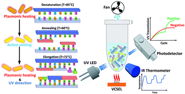 Graphical abstract: Plasmonic and label-free real-time quantitative PCR for point-of-care diagnostics