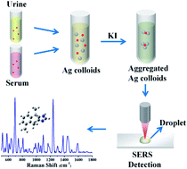 Graphical abstract: Effective SERS method for identification of dexmedetomidine hydrochloride in biological samples