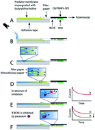 Graphical abstract: Electrochemical paper-based analytical devices (ePADs) toward biosensing: recent advances and challenges in bioanalysis