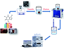 Graphical abstract: In situ growth of zeolitic imidazolate framework-8 on a GO–PVDF membrane as a sorbent for thin-film microextraction of caffeine followed by quantitation through high-performance liquid chromatography