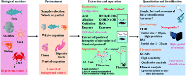 Graphical abstract: Recent advances in the analysis methodologies for microplastics in aquatic organisms: current knowledge and research challenges