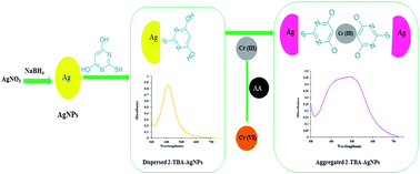 Graphical abstract: Colorimetric speciation analysis of chromium using 2-thiobarbituric acid capped silver nanoparticles