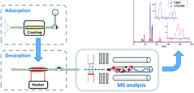 Graphical abstract: Mass spectrometry coupled with vacuum thermal desorption for enhanced volatile organic sample analysis