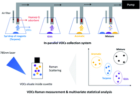 Graphical abstract: VOCs determination by adsorbent-Raman system in food and botanicals