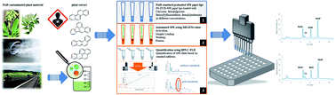 Graphical abstract: An automated preloaded pipet tip SPE method for the accurate quantification of carcinogenic polycyclic aromatic hydrocarbons from tea