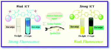 Graphical abstract: A novel bicoumarin-based multifunctional fluorescent probe for naked-eye sensing of amines/ammonia