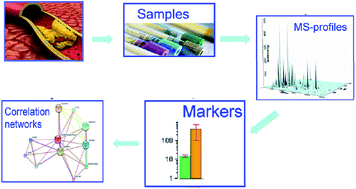 Graphical abstract: Targeted profiling of amino acid metabolome in serum by a liquid chromatography-mass spectrometry method: application to identify potential markers for diet-induced hyperlipidemia