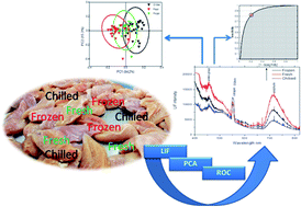 Graphical abstract: Discrimination between fresh, chilled, and frozen/thawed chicken based on its skin's spectrochemical and optical properties