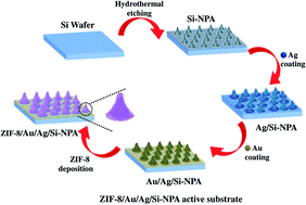 Graphical abstract: ZIF-8-modified Au–Ag/Si nanoporous pillar array for active capture and ultrasensitive SERS-based detection of pentachlorophenol