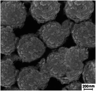 Graphical abstract: Adsorptive removal of Hg2+ from environmental water samples using thioglycerol-intercalated magnetic layered double hydroxides