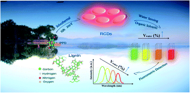 Graphical abstract: Lignin-derived red-emitting carbon dots for colorimetric and sensitive fluorometric detection of water in organic solvents