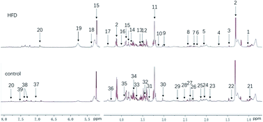 Graphical abstract: NMR-based plasma metabonomics in hyperlipidemia mice