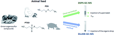 Graphical abstract: A rapid dispersive liquid–liquid microextraction of antimicrobial onion organosulfur compounds in animal feed coupled to gas chromatography-mass spectrometry