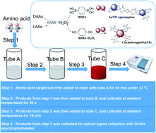 Graphical abstract: Label-free test kit for d-amino acid analysis by 1,4-benzenediboronic-acid-induced aggregation of gold nanoparticles