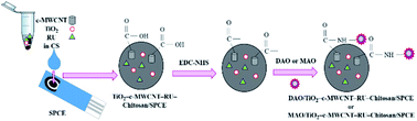 Graphical abstract: Disposable biogenic amine biosensors for histamine determination in fish