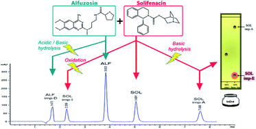 Graphical abstract: A novel HPLC-DAD method for simultaneous determination of alfuzosin and solifenacin along with their official impurities induced via a stress stability study; investigation of their degradation kinetics