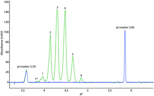 Graphical abstract: Interlaboratory method validation of imaged capillary isoelectric focusing methodology for analysis of recombinant human erythropoietin