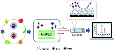 Graphical abstract: A new alternative assay for sensitive analysis of ethylenethiourea and propylenethiourea in fruit samples after their separation