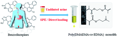 Graphical abstract: A poly(N,N-dimethylaminoethyl methacrylate-co-ethylene glycol dimethacrylate) monolith for direct solid-phase extraction of benzodiazepines from undiluted human urine